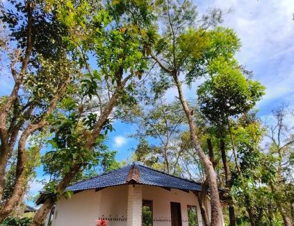 Sakleshpur Resort | Hidden Roots Campsite
