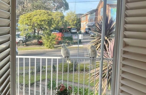 West Pennant Hills House | Hillside Haven - 3 bedroom house in a quiet and safe suburb