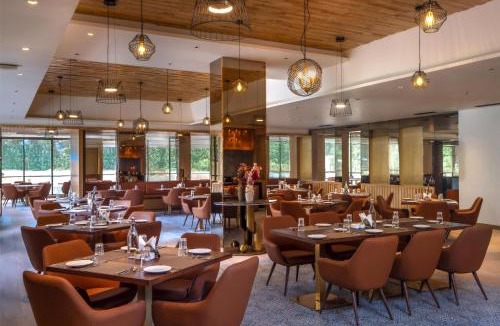 Thigalarapalya Hotel | Hilton Garden Inn Bengaluru Whitefield