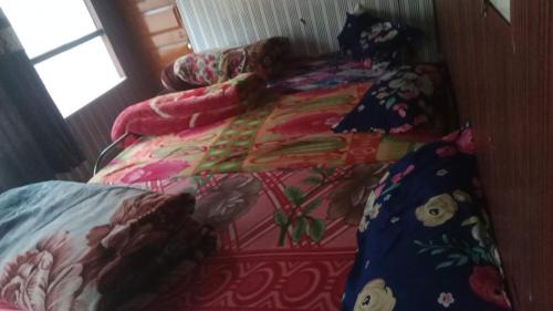 Badrinath Hotel | Himalayan siddhi yog aashram