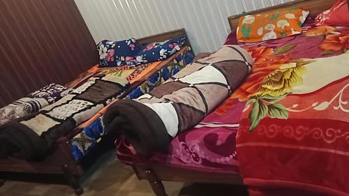 Badrinath Hotel | Himalayan siddhi yog aashram
