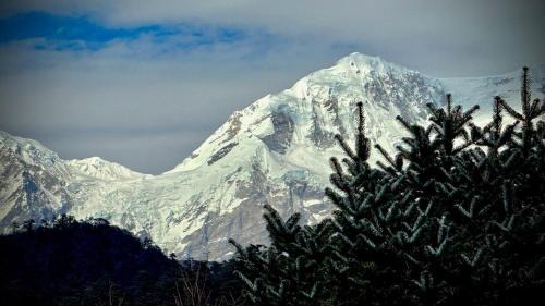 Geyzing Ski Chalet | HimalayaNest - All Inclusive Eco and Local Food