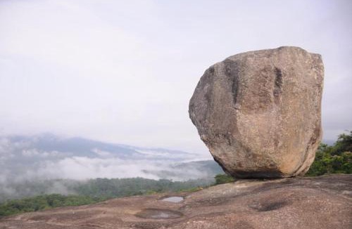Sangameswarpet House | Homestay Halligade