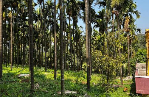 Beltangadi Villa | Homestay near Dharmastala temple