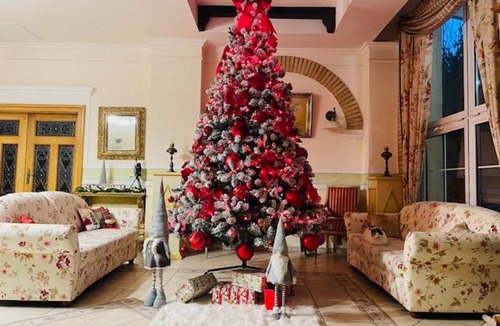 Timisoara Hotel | Hotel Casa De La Rosa