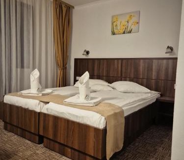 Valiug Hotel | Hotel Claris