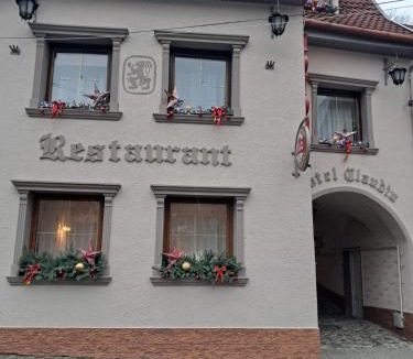 Sighisoara Hotel | Hotel Claudiu