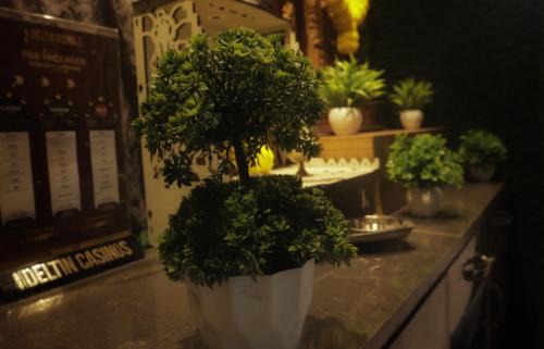 Panaji Hostel | HOTEL DADOs INN