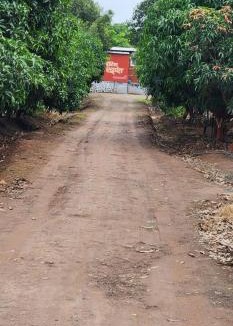 Junnar Hotel | Hotel Ekant tourist resort aka Ekaant Farms