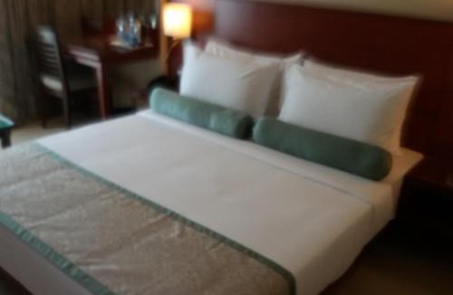 Daulatabad Hotel | Hotel Green Olive