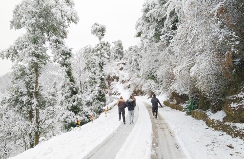 Dhanaulti Hotel | Hotel Himalaya view & restaurant