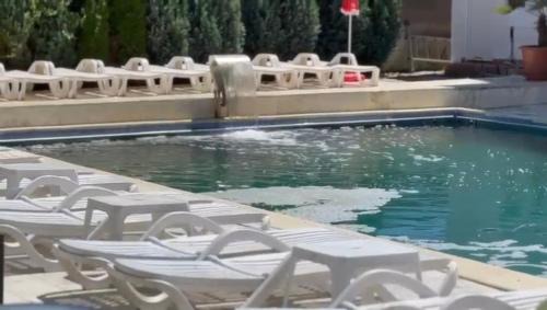 Calimanesti Hotel | Hotel Ostrov