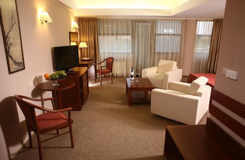 Timisoara Hotel | Hotel Reghina Blue