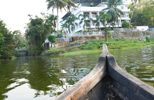 Kuttampuzha Resort | HOTEL VKJ INTERNATIONAL