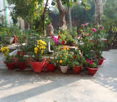 Khajuraho Hotel | Hotel Zen