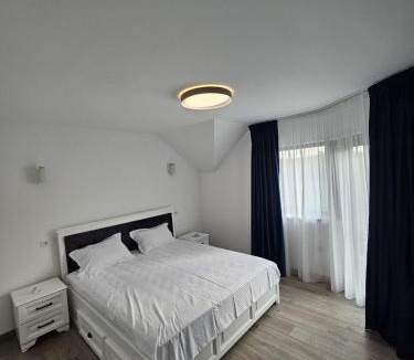Curtesti Villa | House in Hudum - Botoșani
