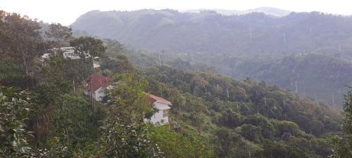 Elappara Resort | Idam Resort