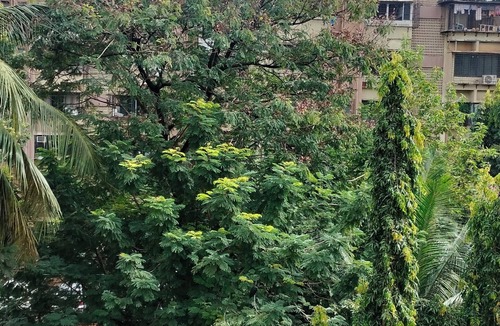 Versova Apartment | If you want to feel good at home then come here