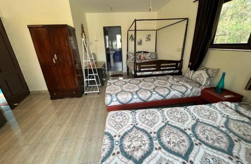 Nagoa House | Indigo Orchid Homestay - A spacious, serene villa with terrace and farm view