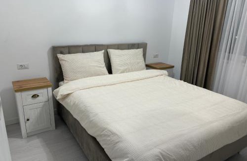 Radauti Apartment | Ionela Hij