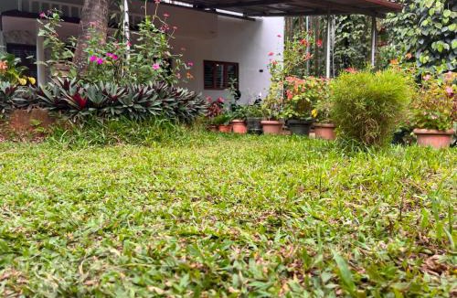 Sringeri Ski Chalet | Ira Homestay