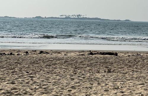 Malpe Resort | Island Bay View Inn