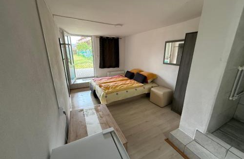 Sangeorgiu de Padure House | István