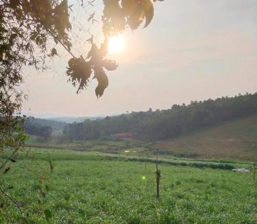 Sulthan Bathery Bed & Breakfast | Jacob's Homestay