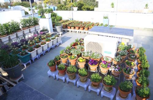 Noida Bed & Breakfast | joerose villa