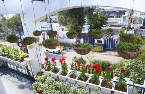Noida Bed & Breakfast | joerose villa