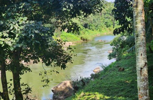 Elappara House | John's Heaven Valley