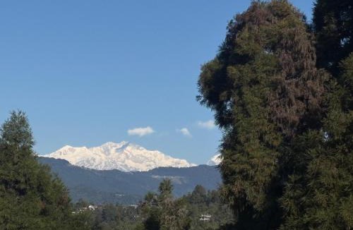 Mirik House | Jojos homestay