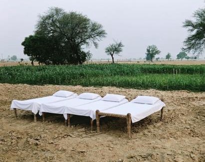 Kishangarh Bas House | Joon Farm