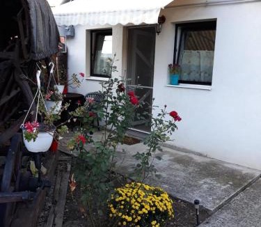 Calea Sever Bocu Apartment | Joy Residence