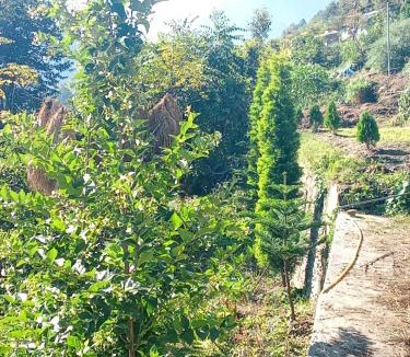 Uttarkashi House | Jp HOMESTAY