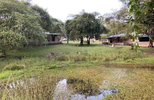Masinagudi Resort | Jungle Hut Resort