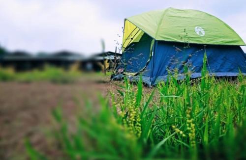 Supa Other | Jungle retreat dandeli - Homestay