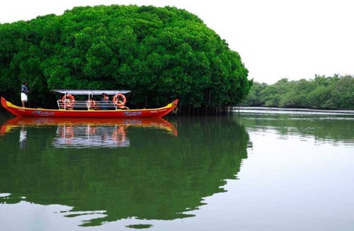 Kadalundi House | Kadingis homestay and eco tourism