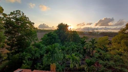 Siddapur House | Kamanabillu Homestay, For jog falls travellers