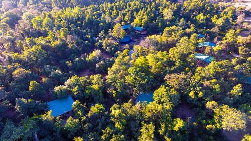 Mukki Resort | Kanha Jungle Camp