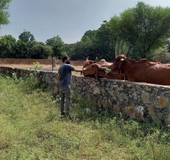 Shri Madhopur House | Kaninwal's House