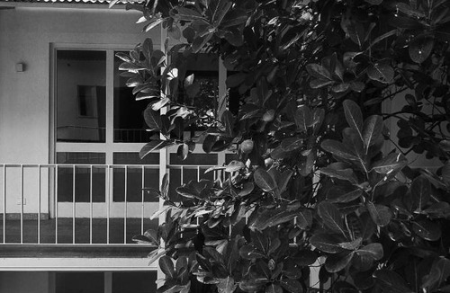 Fort Kochi Hotel | Kara Fort Kochi