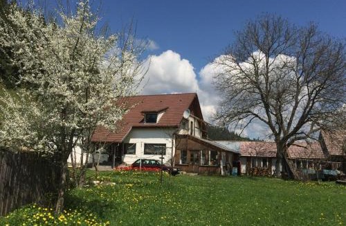 Comiat House | Karacsony Guest House