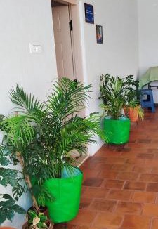 Vijayanagar House | Karimbummel House- A room with spacious Balcony
