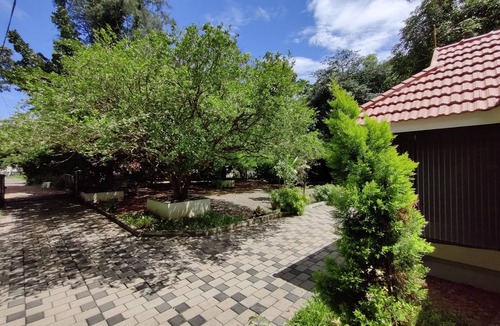 Kochi House | Kerala Traditional 2 bedroom home with AC in charming green surrounding in Kochi