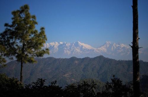 Almora Resort | Khali Estate