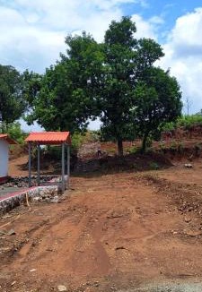 Murbad Other | Kittu's Farm