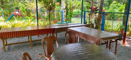 Arpookara Bed & Breakfast | Kuttickattil Pool Home Stay Kumarakom
