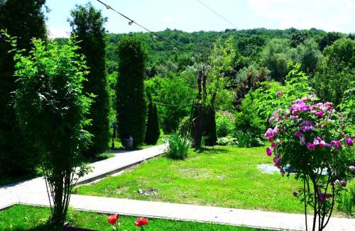 Traian Bed & Breakfast | La Domeniu B&B