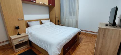 Tirnaveni Apartment | La Muzeu